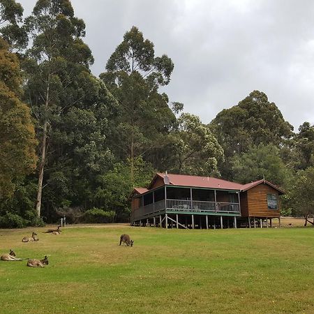 Walpole Wilderness Resort Bagian luar foto