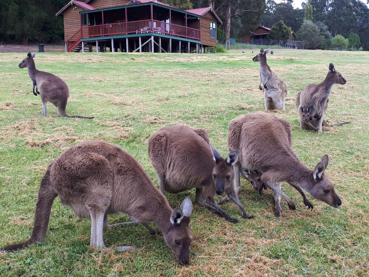 Walpole Wilderness Resort Bagian luar foto