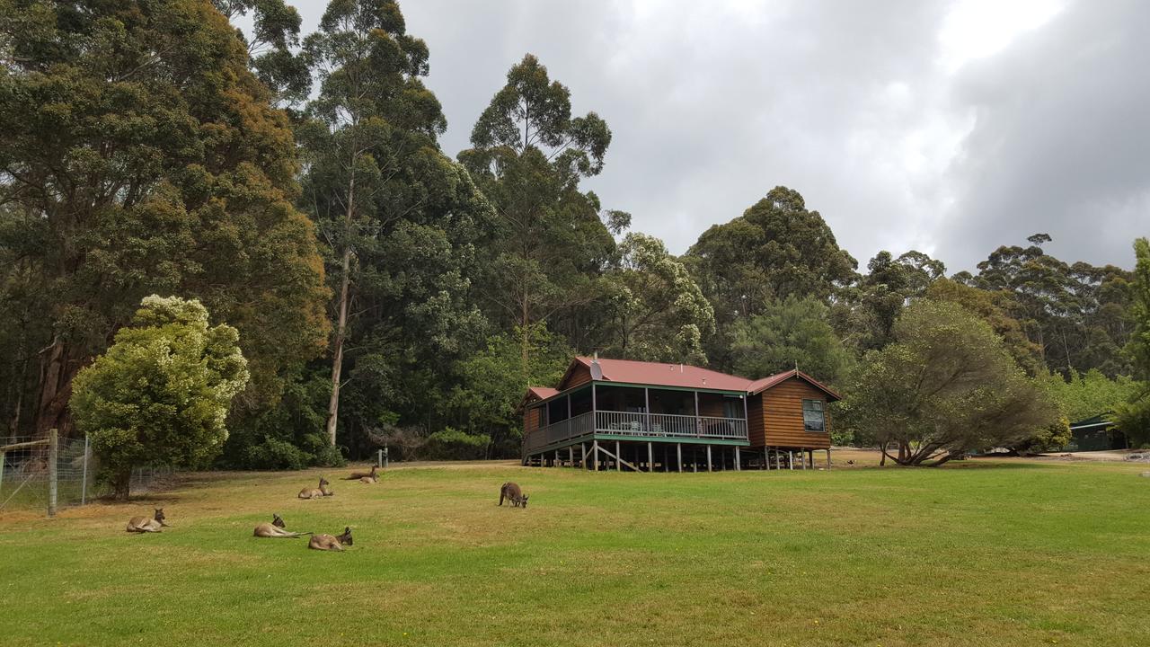 Walpole Wilderness Resort Bagian luar foto